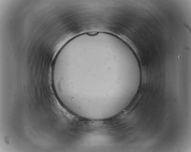 X0000103141006200809121750