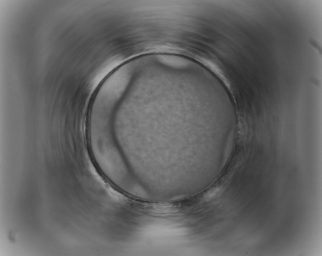 X0000103141007200809121750