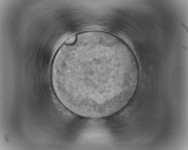 X0000103141008200809121750