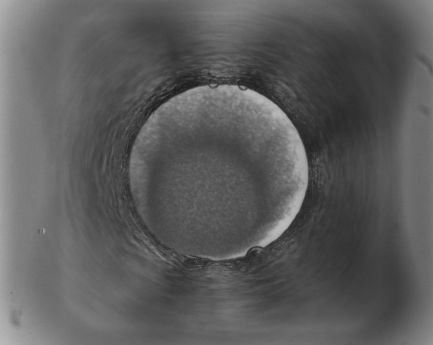 X0000103141009200809121749