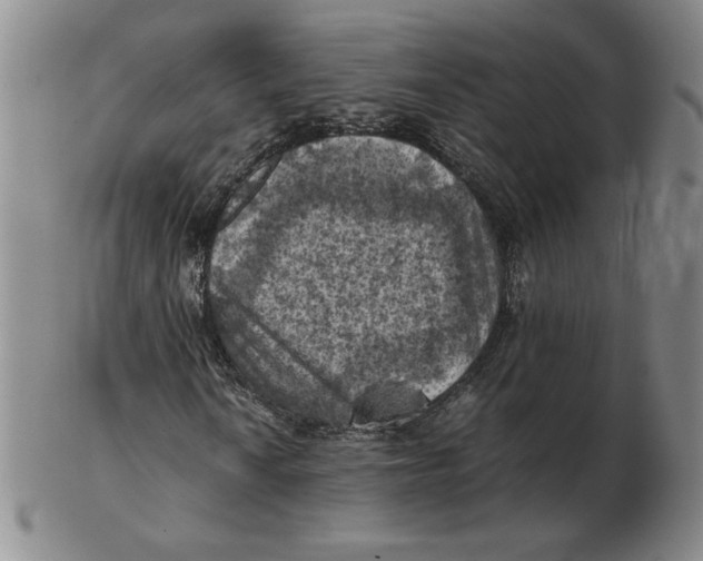 X0000103141010200809121749