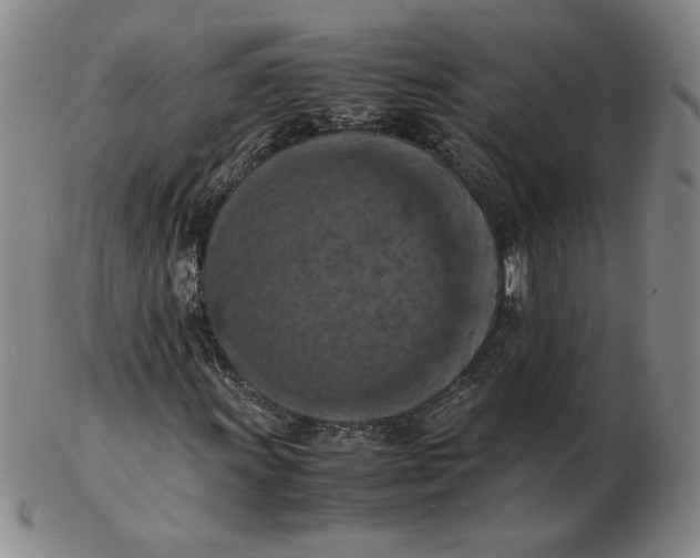 X0000103141011200809121749