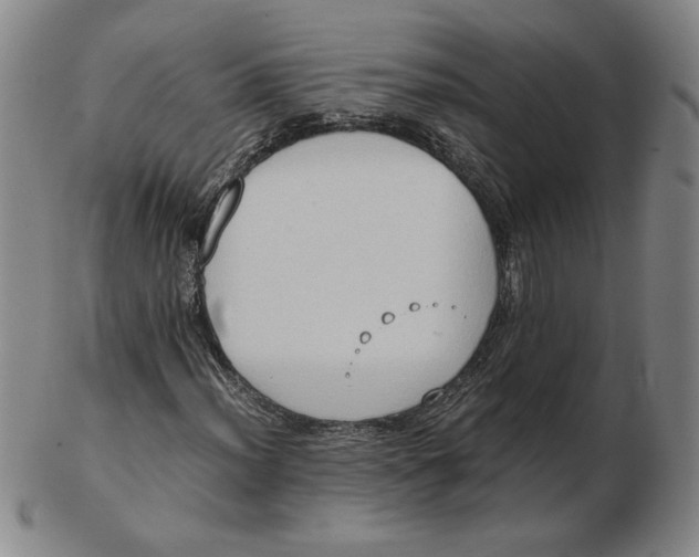 X0000103141012200809121749