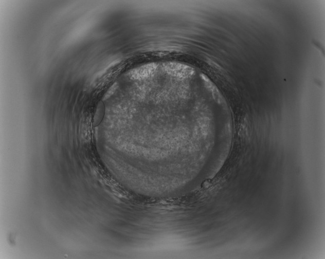 X0000103141014200809121749