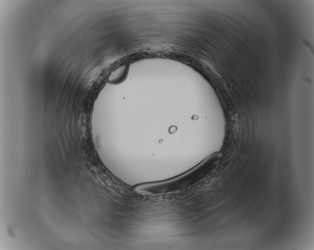 X0000103141016200809121749