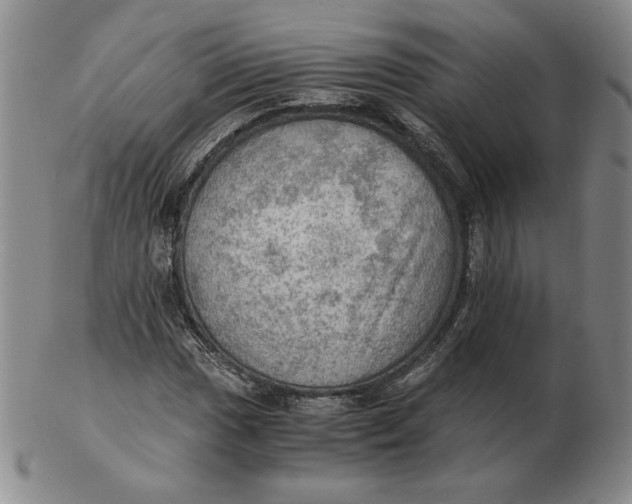 X0000103141017200809121749