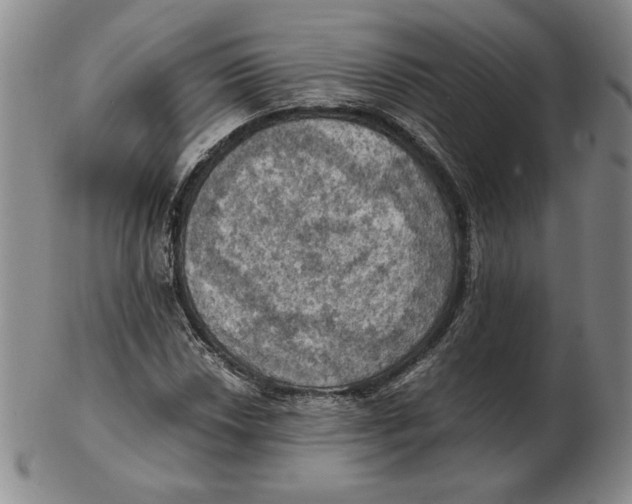 X0000103141018200809121749