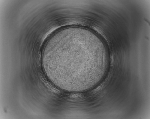 X0000103141021200809121749