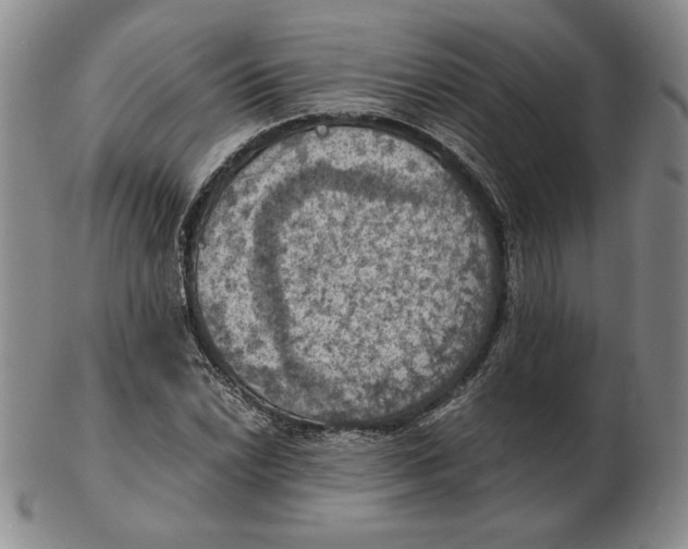 X0000103141022200809121749