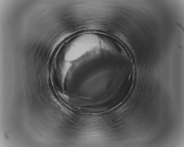 X0000103141024200809121749