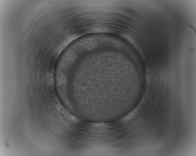 X0000103141025200809121749