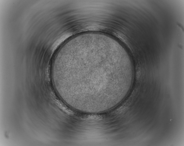 X0000103141026200809121749