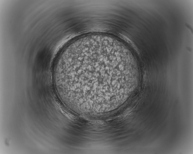 X0000103141027200809121749