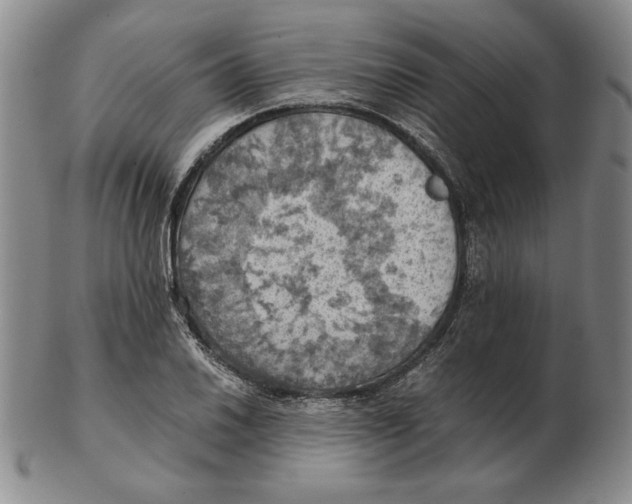 X0000103141030200809121749