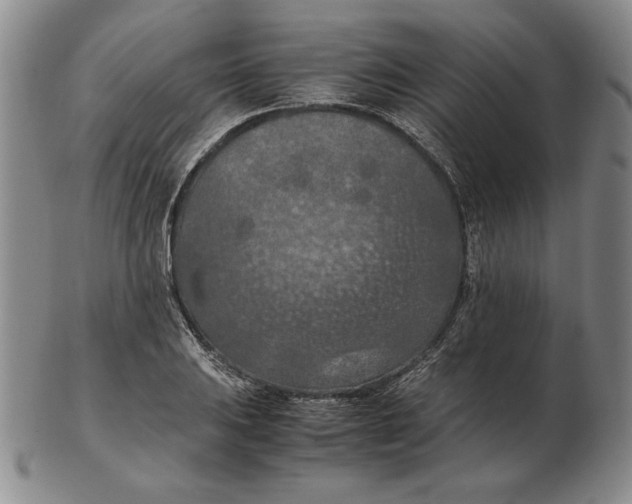 X0000103141031200809121749