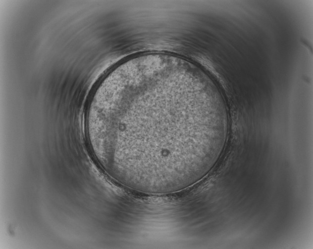 X0000103141032200809121749