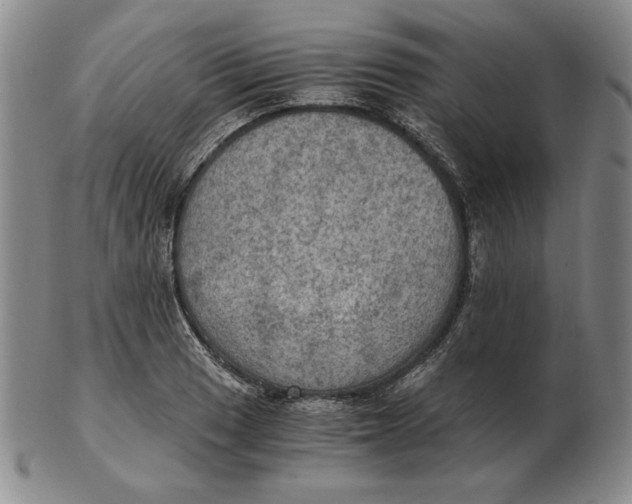 X0000103141033200809121749