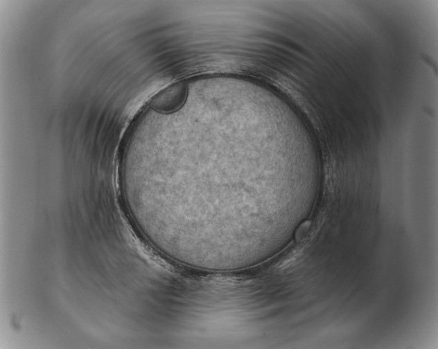 X0000103141034200809121749