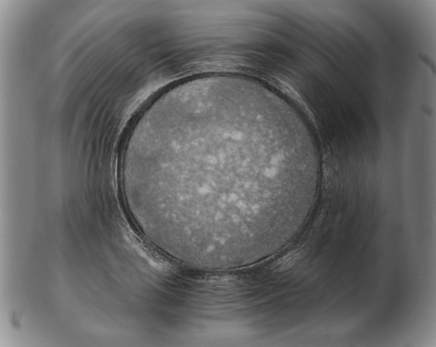 X0000103141035200809121749