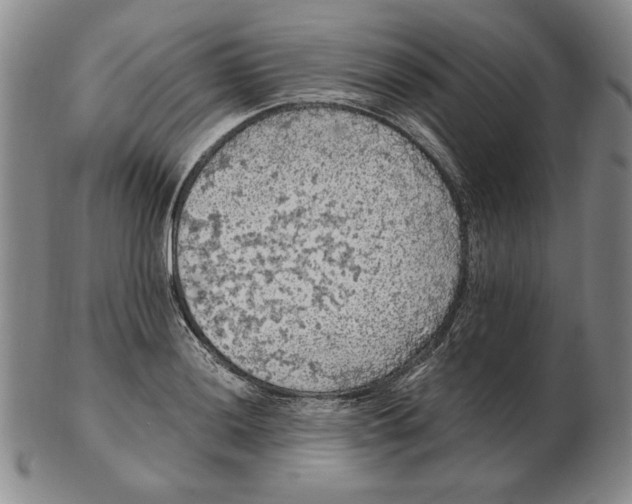 X0000103141036200809121749