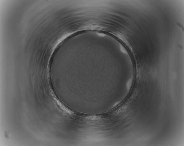 X0000103141037200809121749