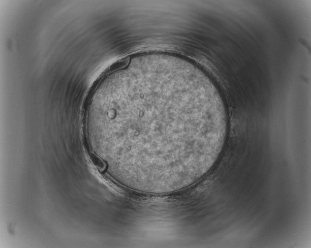 X0000103141038200809121749