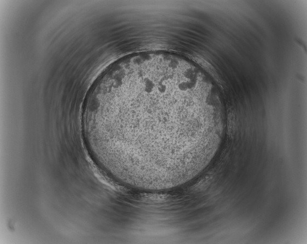 X0000103141039200809121749