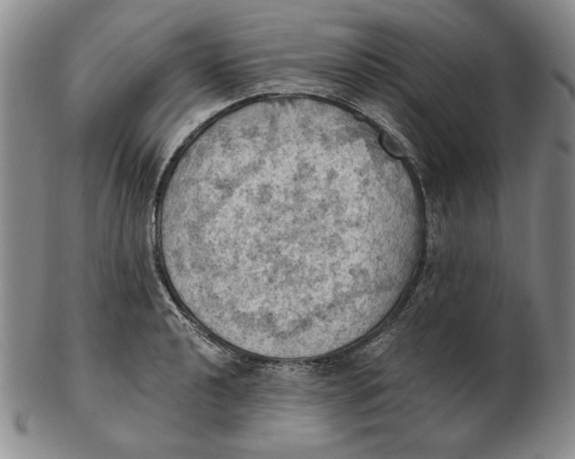 X0000103141040200809121749