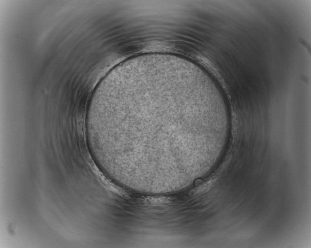 X0000103141041200809121749