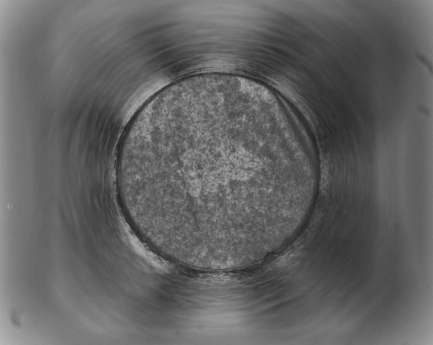 X0000103141042200809121749