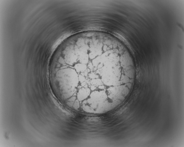 X0000103141043200809121749