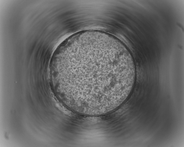 X0000103141044200809121749