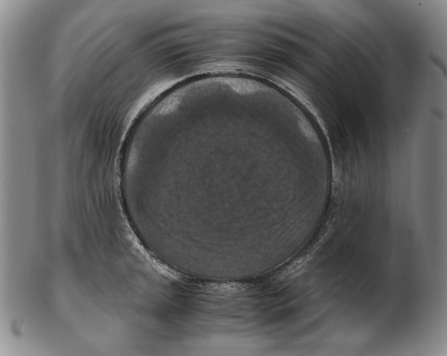 X0000103141045200809121749