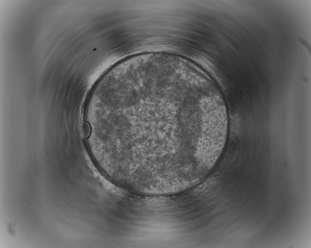 X0000103141046200809121749