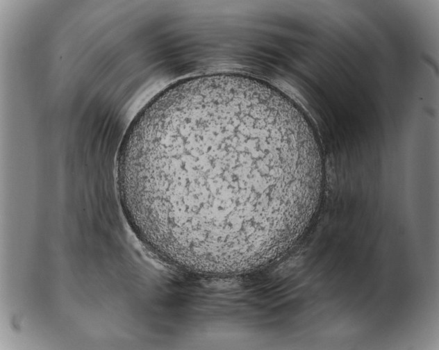 X0000103141047200809121749