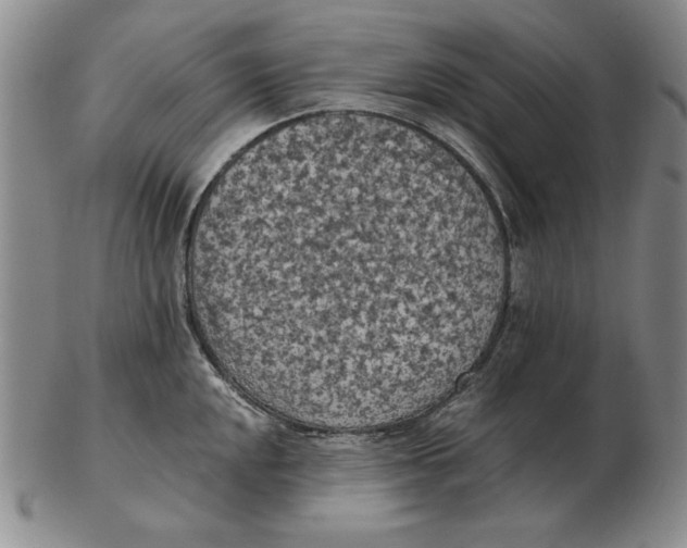 X0000103141048200809121749