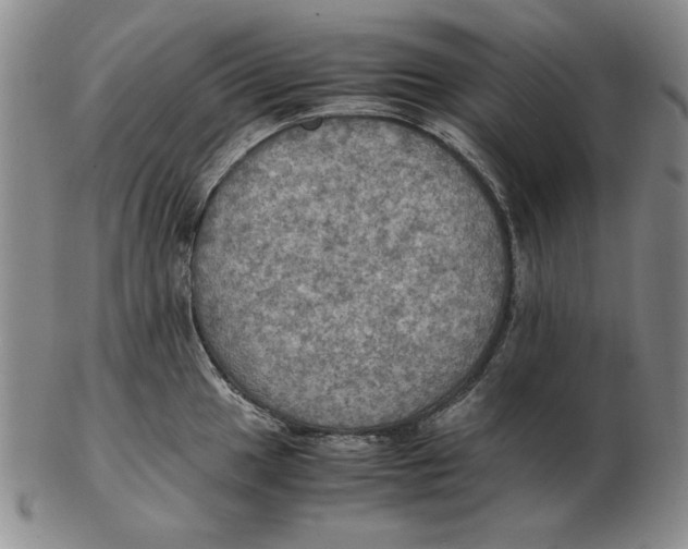 X0000103141049200809121749