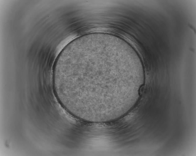 X0000103141050200809121750