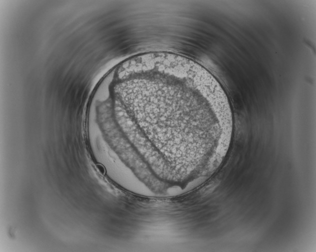 X0000103141052200809121750