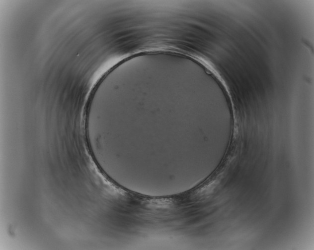 X0000103141053200809121750