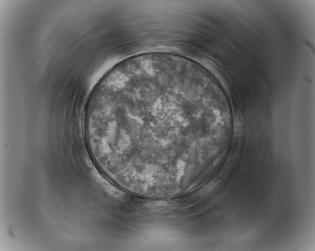 X0000103141054200809121750