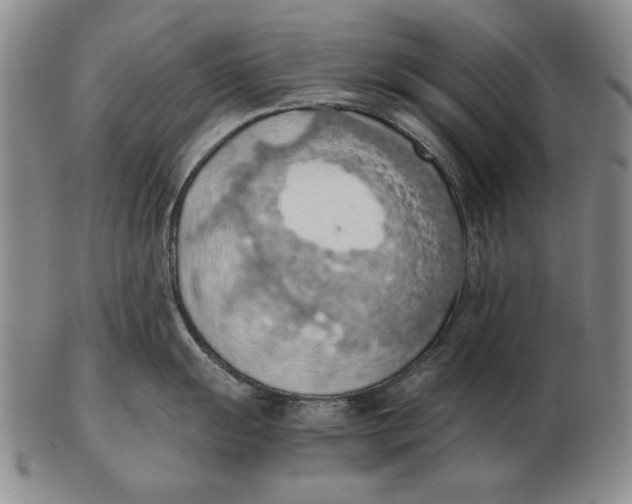 X0000103141055200809121750