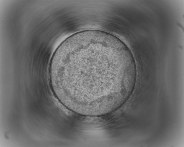 X0000103141056200809121750