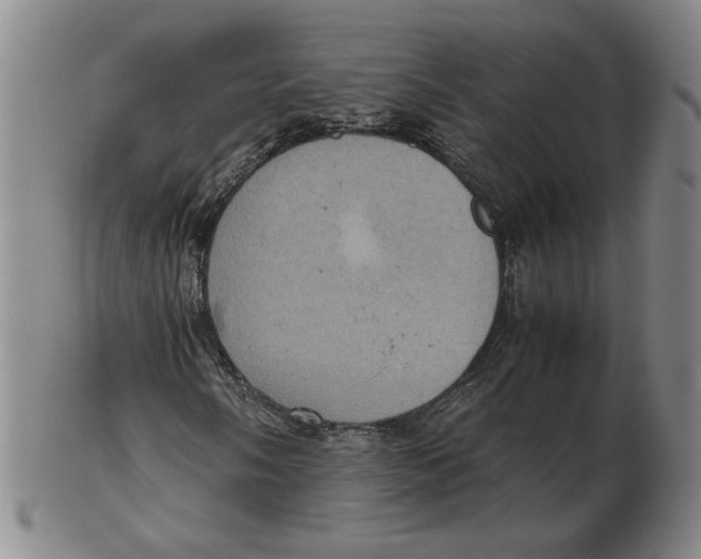 X0000103141058200809121749