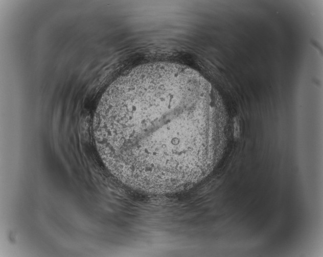 X0000103141059200809121749