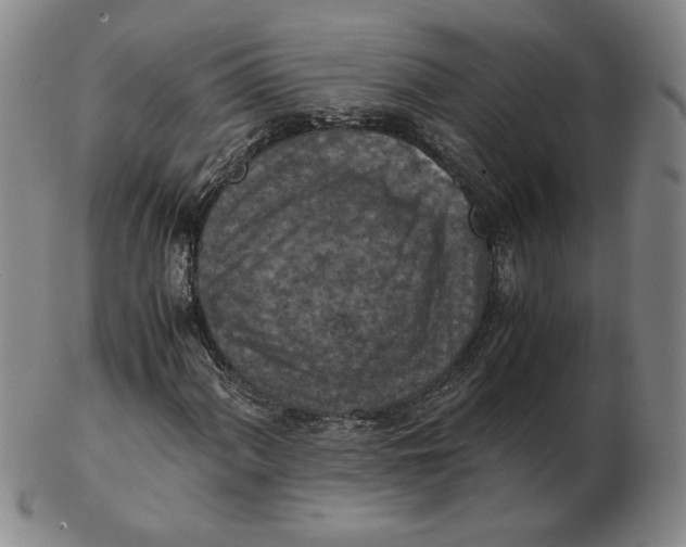 X0000103141060200809121749