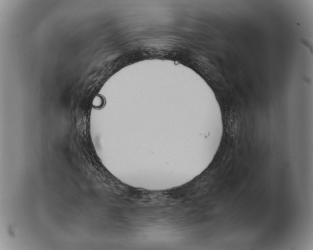 X0000103141061200809121749