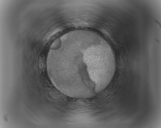 X0000103141063200809121749