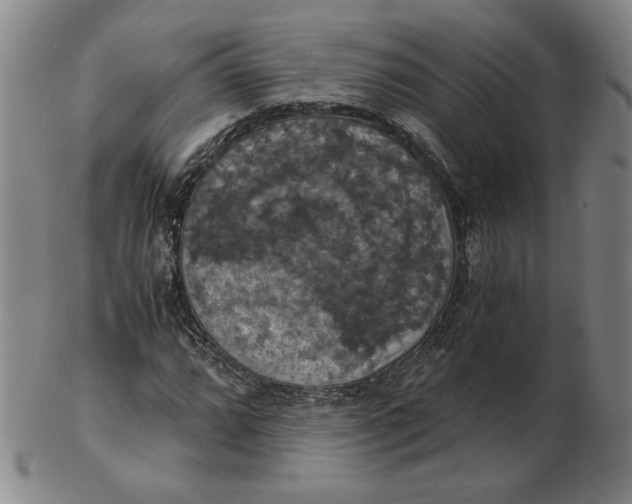 X0000103141064200809121749