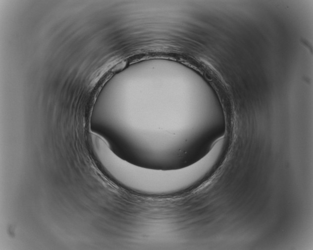 X0000103141065200809121749